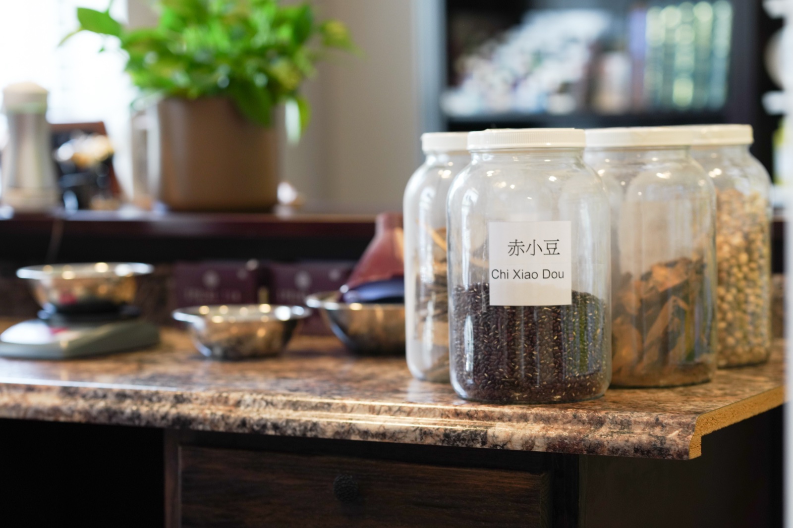 Inside the clinic — front counter with labeled jars of Chinese herbs and greenery